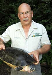 Bill Holmstrom with Orlitia borneensis